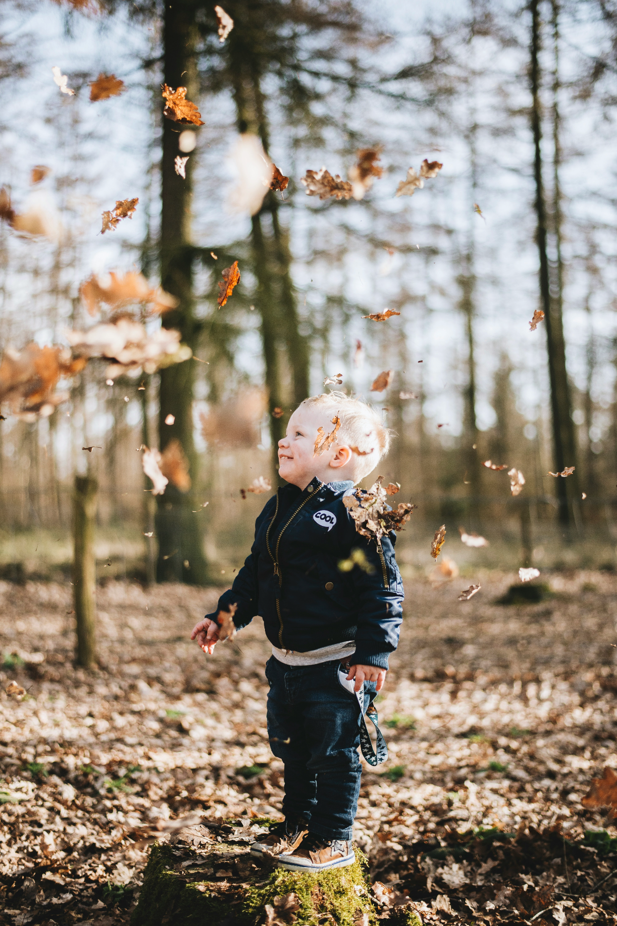 In autunno: tracciare e giocare nella natura