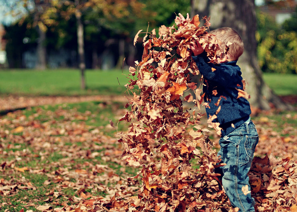 Autunno con i più piccoli