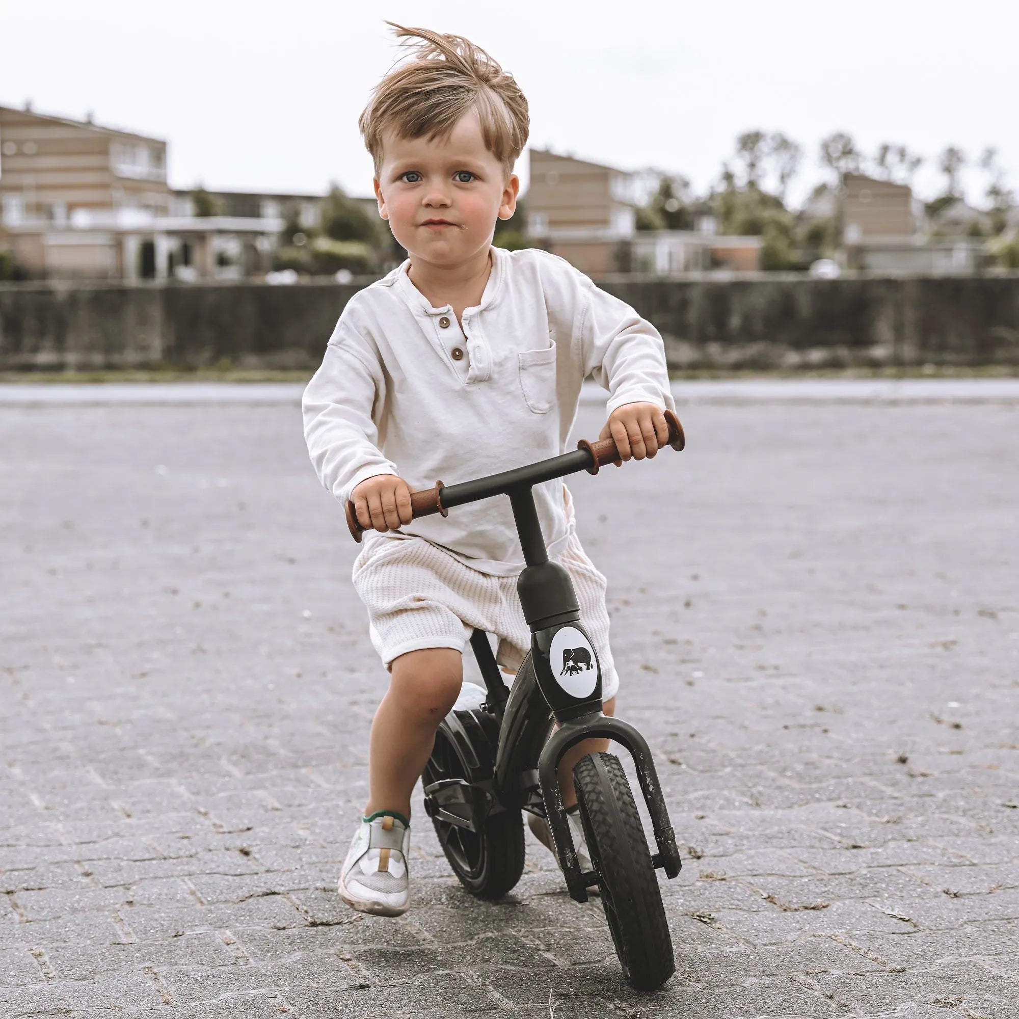 Bicicletta di equilibrio