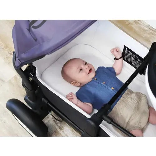 Carrycot Sandy